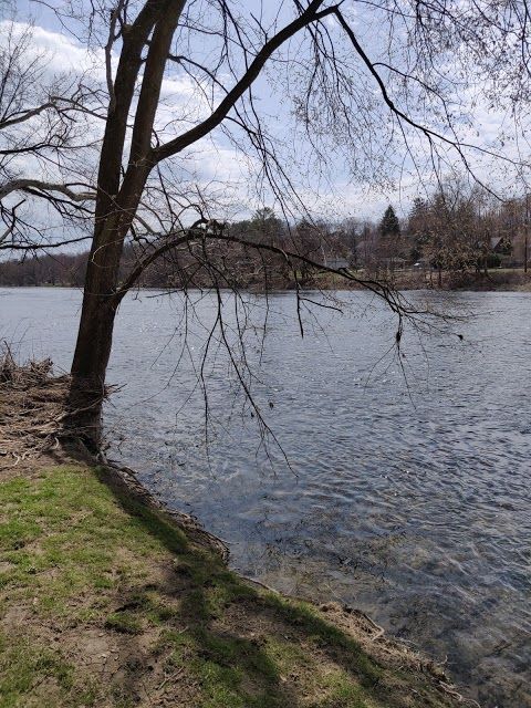 Adam Ricci Community Park